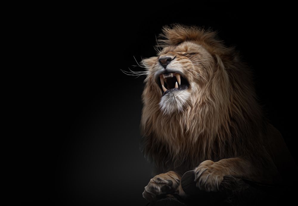 ... roar art print by Jorg Vollrath for $57.95 CAD