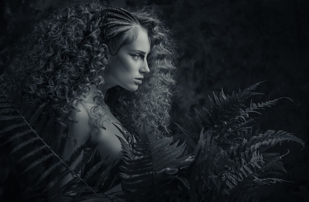 Fern blossom art print by Aurimas Valevicius for $57.95 CAD