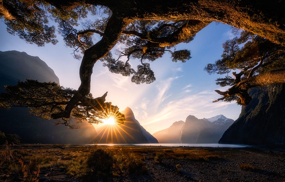 Sunny Day In Milford Sound art print by Jingshu Zhu for $57.95 CAD