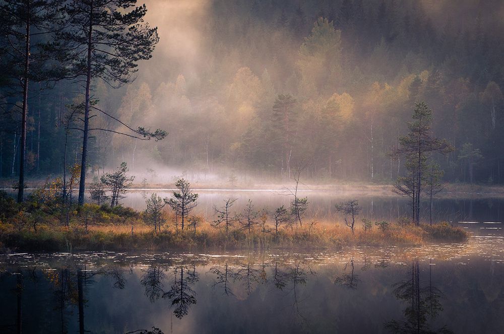 Misty Moment art print by Andreas Christensen for $57.95 CAD