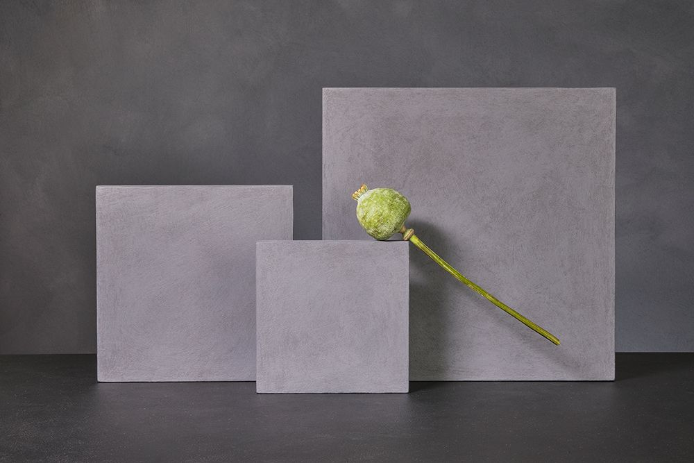 Poppy art print by Christophe Verot for $57.95 CAD