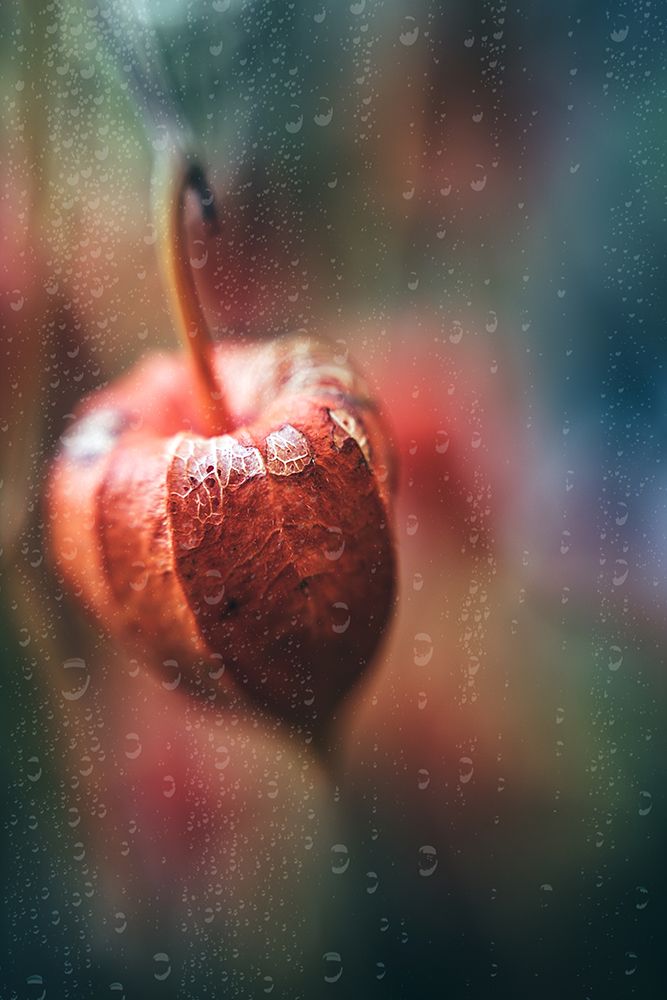 Autumn Impression art print by Ulrike Eisenmann for $57.95 CAD