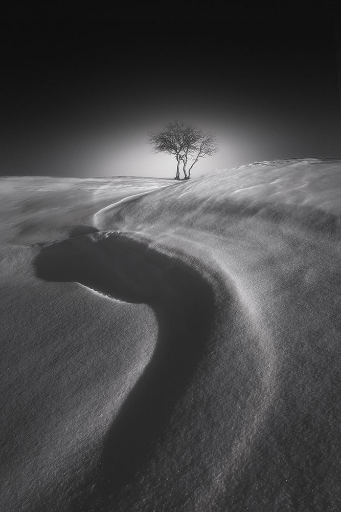 Shadow of the S shape on the snow art print by NingYun Ye for $57.95 CAD