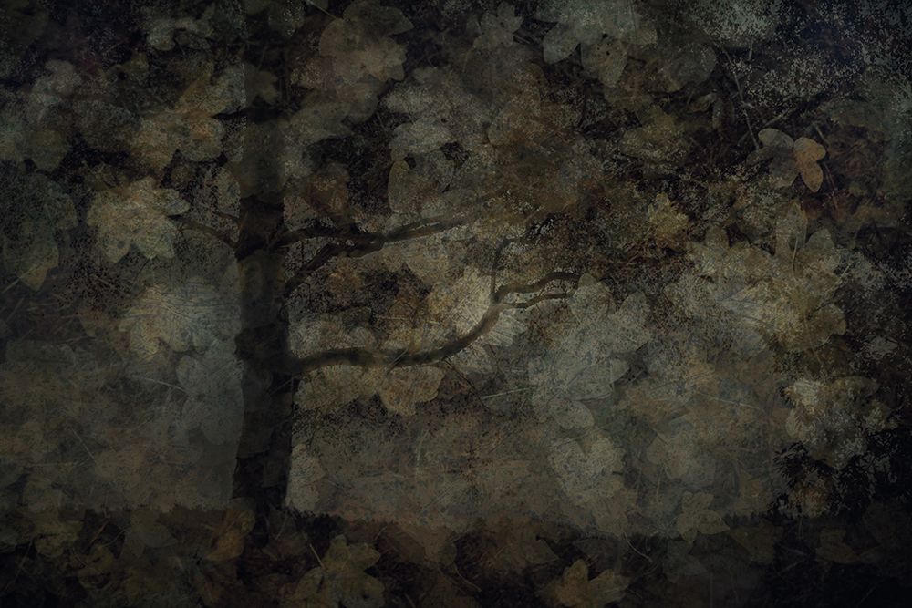 Dark Forest art print by Nel Talen for $57.95 CAD