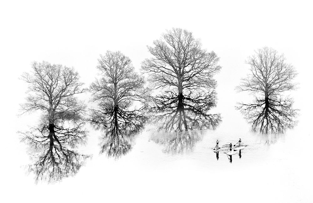 Lost art print by Ales Komovec for $57.95 CAD