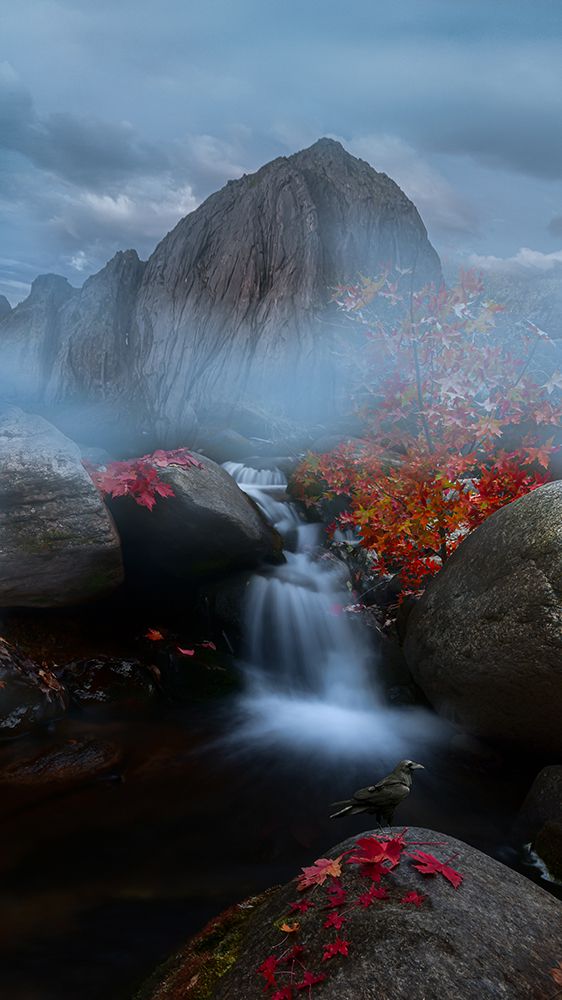 Fog Hill art print by Simoon for $57.95 CAD
