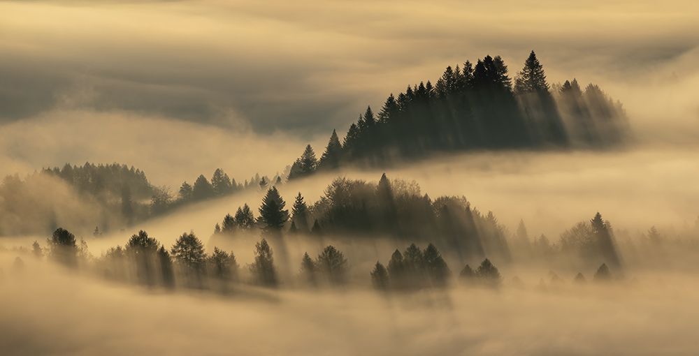 Pieniny foggy art print by Wojciech Kruczynski for $57.95 CAD