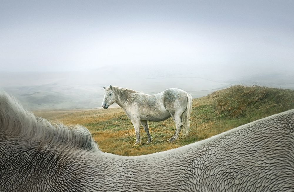 Hey! Down in front art print by Larry Deng for $57.95 CAD