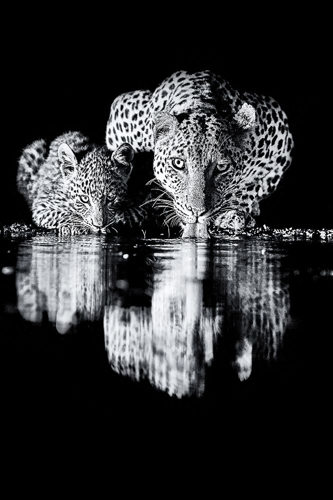 Untitled art print by Amnon Eichelberg for $57.95 CAD