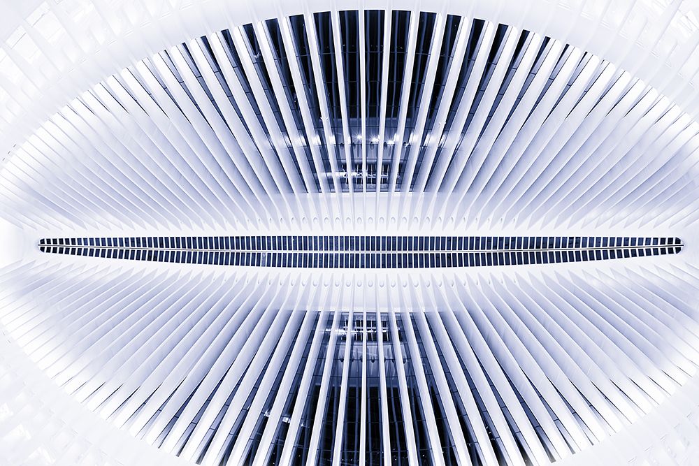 OCULUS art print by Martin Fleckenstein for $57.95 CAD