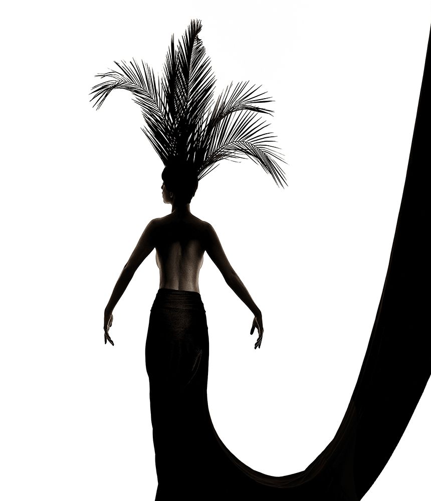 Palm Leaf Headdress art print by Anders Kustas for $57.95 CAD