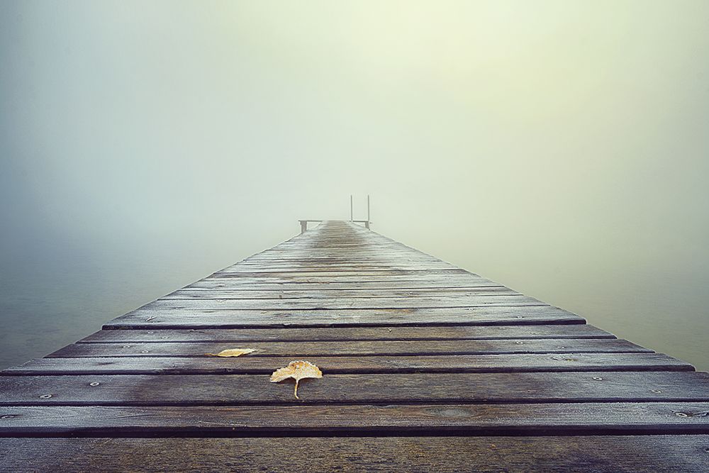 Cold And Misty Morning art print by Ulrike Eisenmann for $57.95 CAD