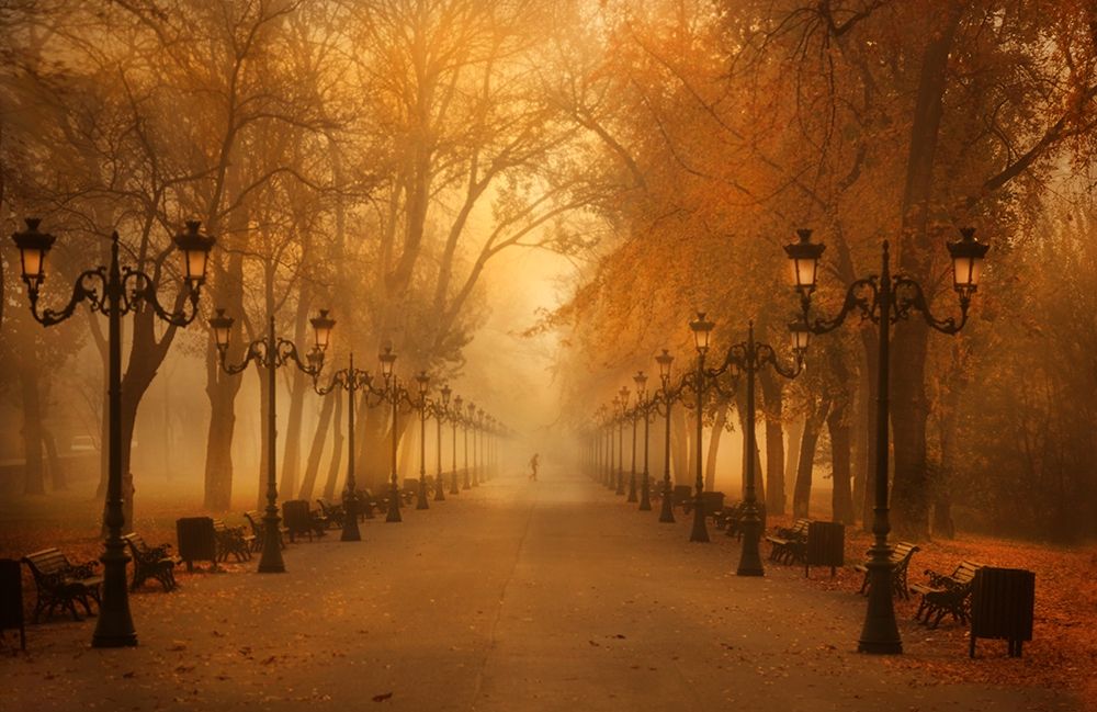 November Morning art print by Cristian Andreescu for $57.95 CAD