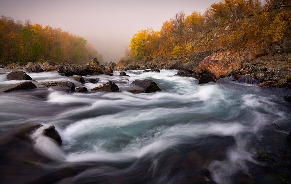 Signaldalelva river art print by Sus Bogaerts for $57.95 CAD