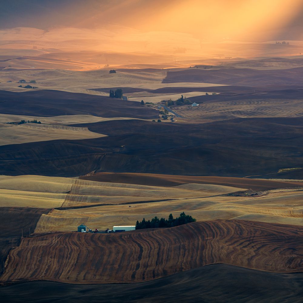 Palouse Impression art print by John Fan for $57.95 CAD