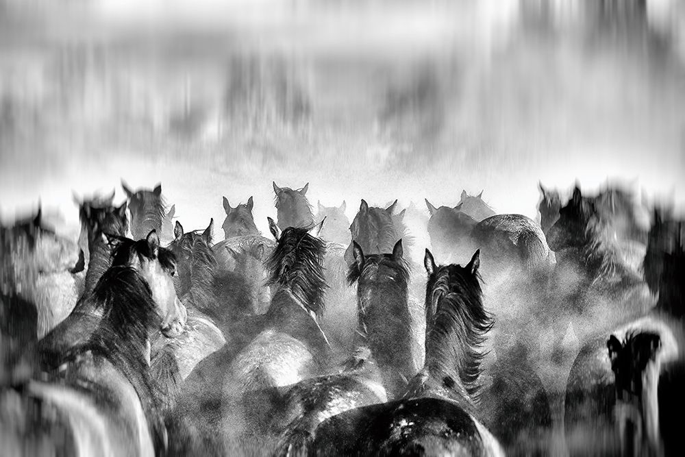 Horses art print by Gilcan Mete for $57.95 CAD