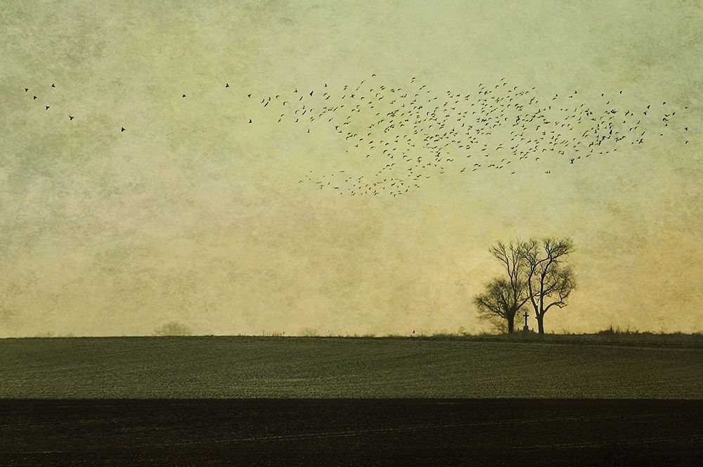 in a silent way art print by Nicoleta Gabor for $57.95 CAD