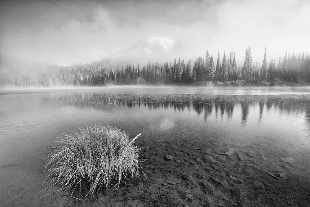 Clearing art print by Leon U for $57.95 CAD