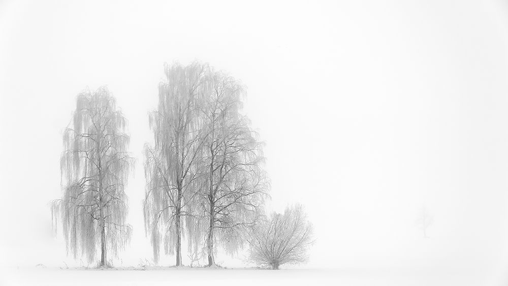 Winterstimmung art print by Roland Bucheli for $57.95 CAD