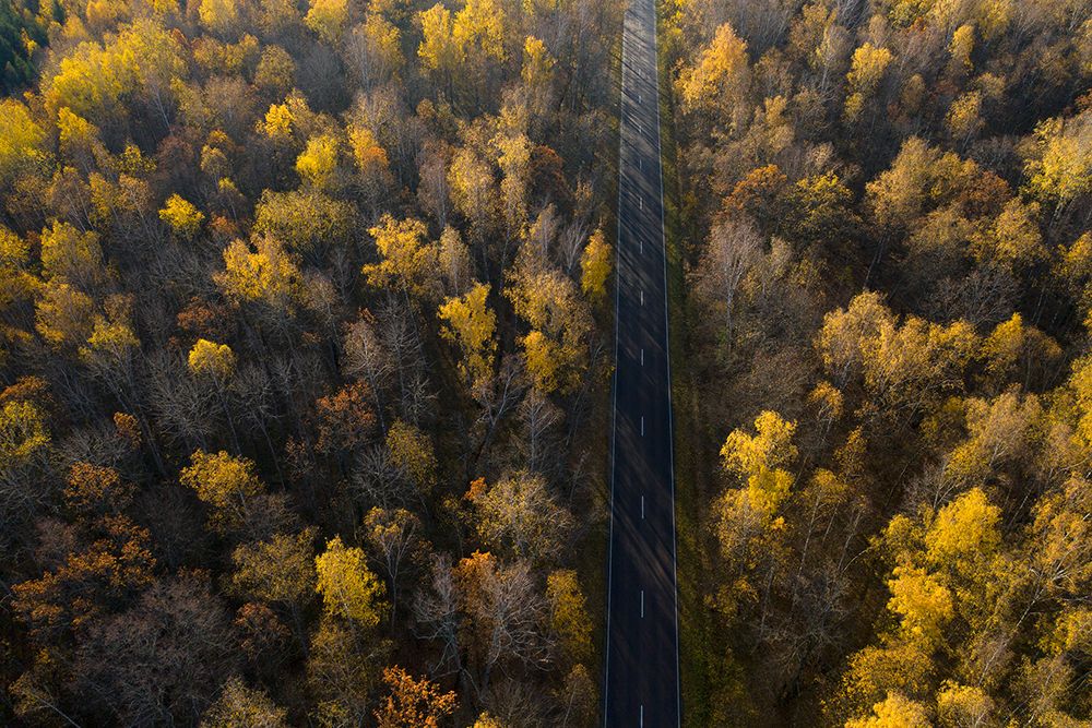 Road art print by Dmitry Doronin for $57.95 CAD