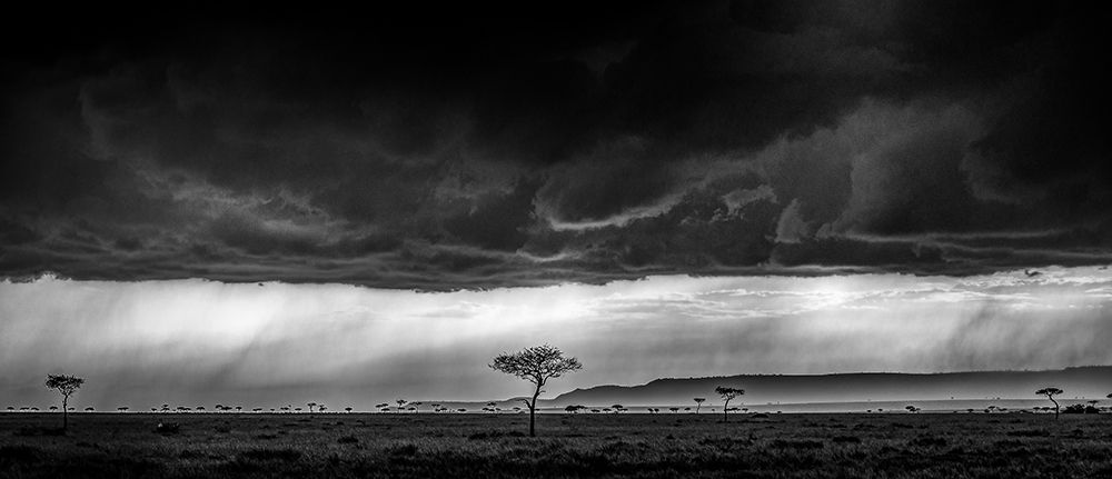 Serengeti Storm - Monochrome art print by Jeffrey C. Sink for $57.95 CAD