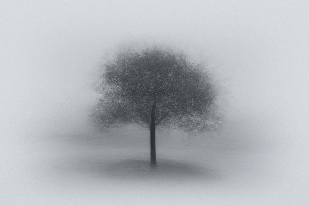 Tree In Fog art print by Aidong Ning for $57.95 CAD