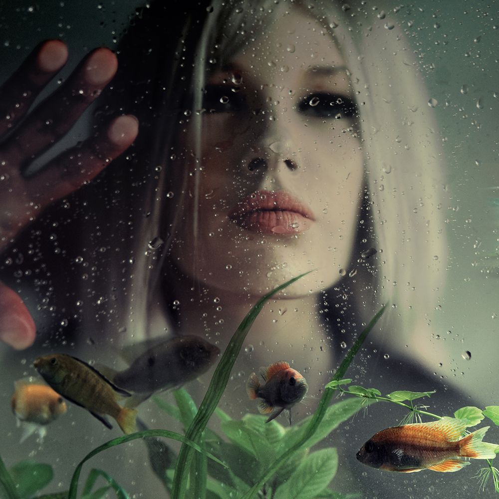 underwater love art print by ambra for $57.95 CAD