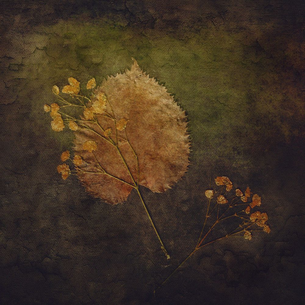 Embedded art print by Cicek Kiral for $57.95 CAD
