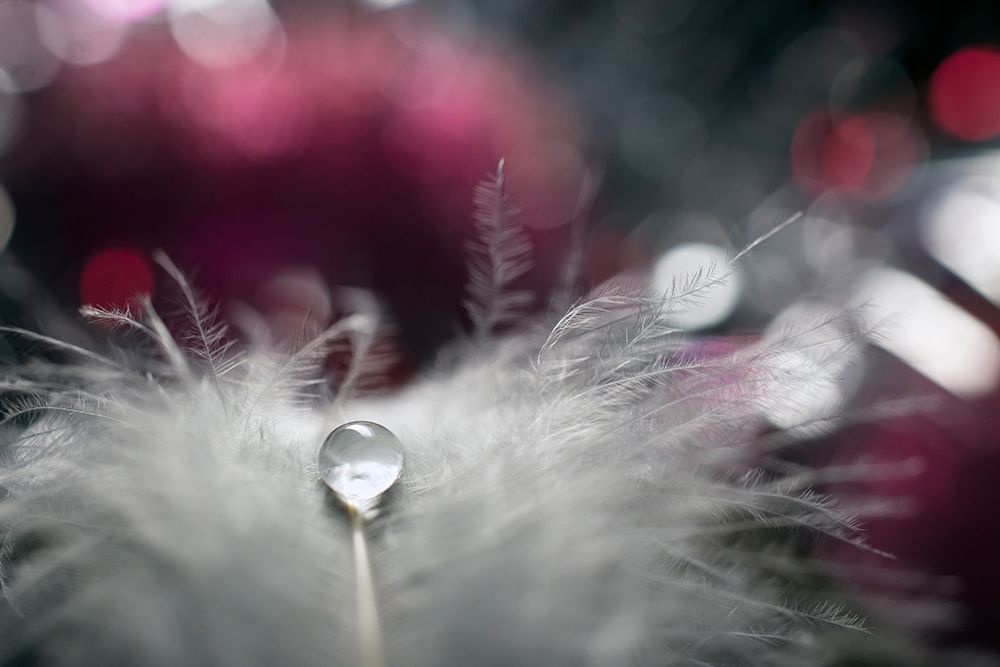 Stories of drops art print by Dmitry Doronin for $57.95 CAD