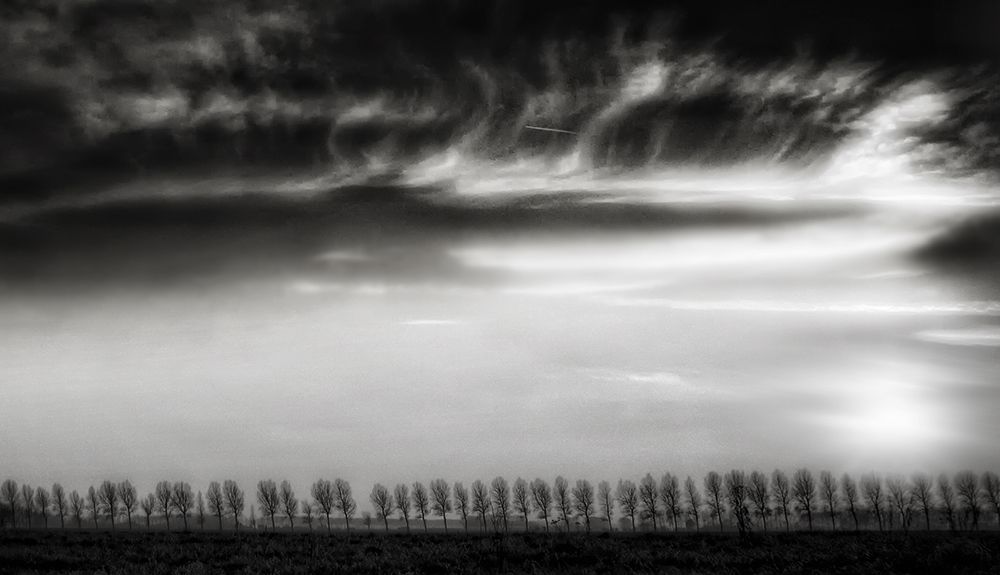 Clouds dancing with the trees... art print by Yvette Depaepe for $57.95 CAD