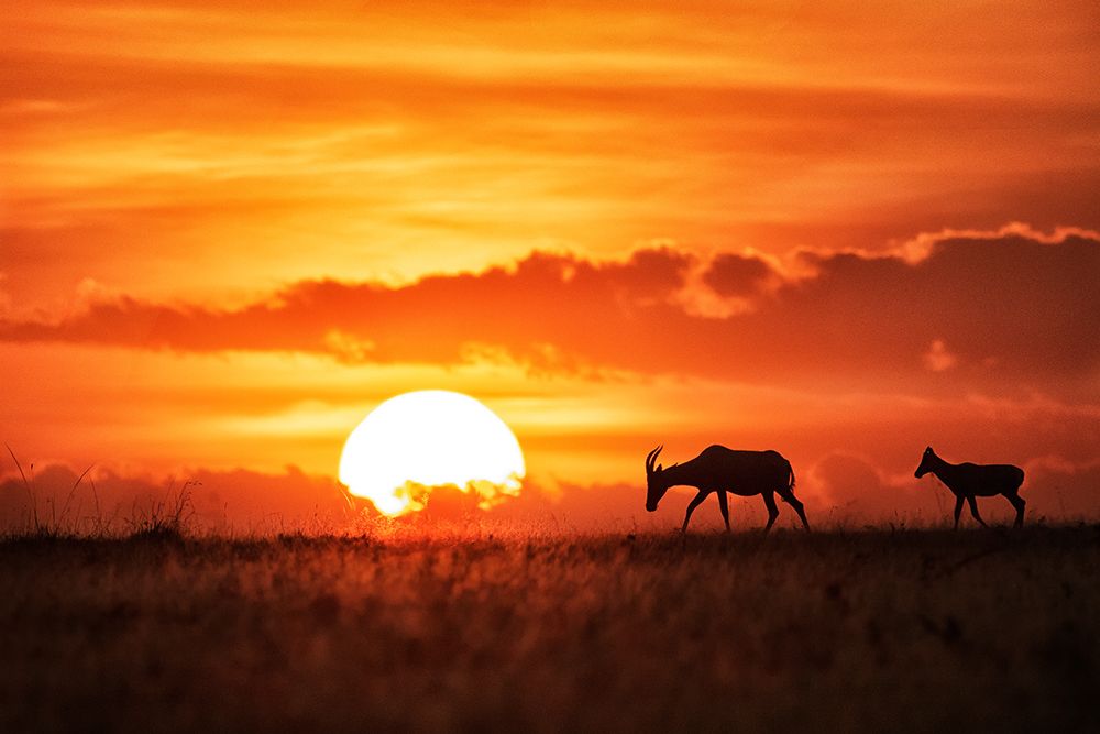 Sun rise art print by Siyu and Wei for $57.95 CAD