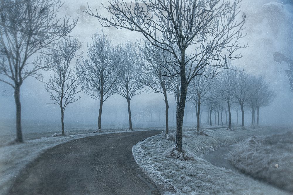 Poetry arrived from winter art print by Jacob Tuinenga for $57.95 CAD