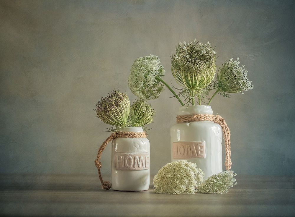 Wild Carrot art print by Ytje Veenstra for $57.95 CAD