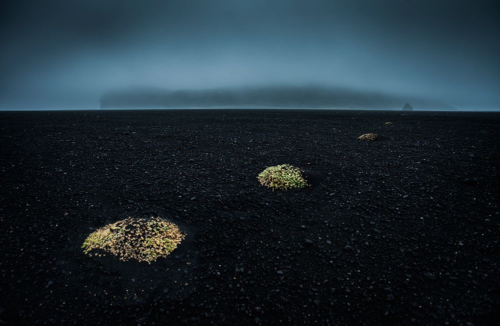 Dune islands in the black desert art print by Peter Svoboda for $57.95 CAD