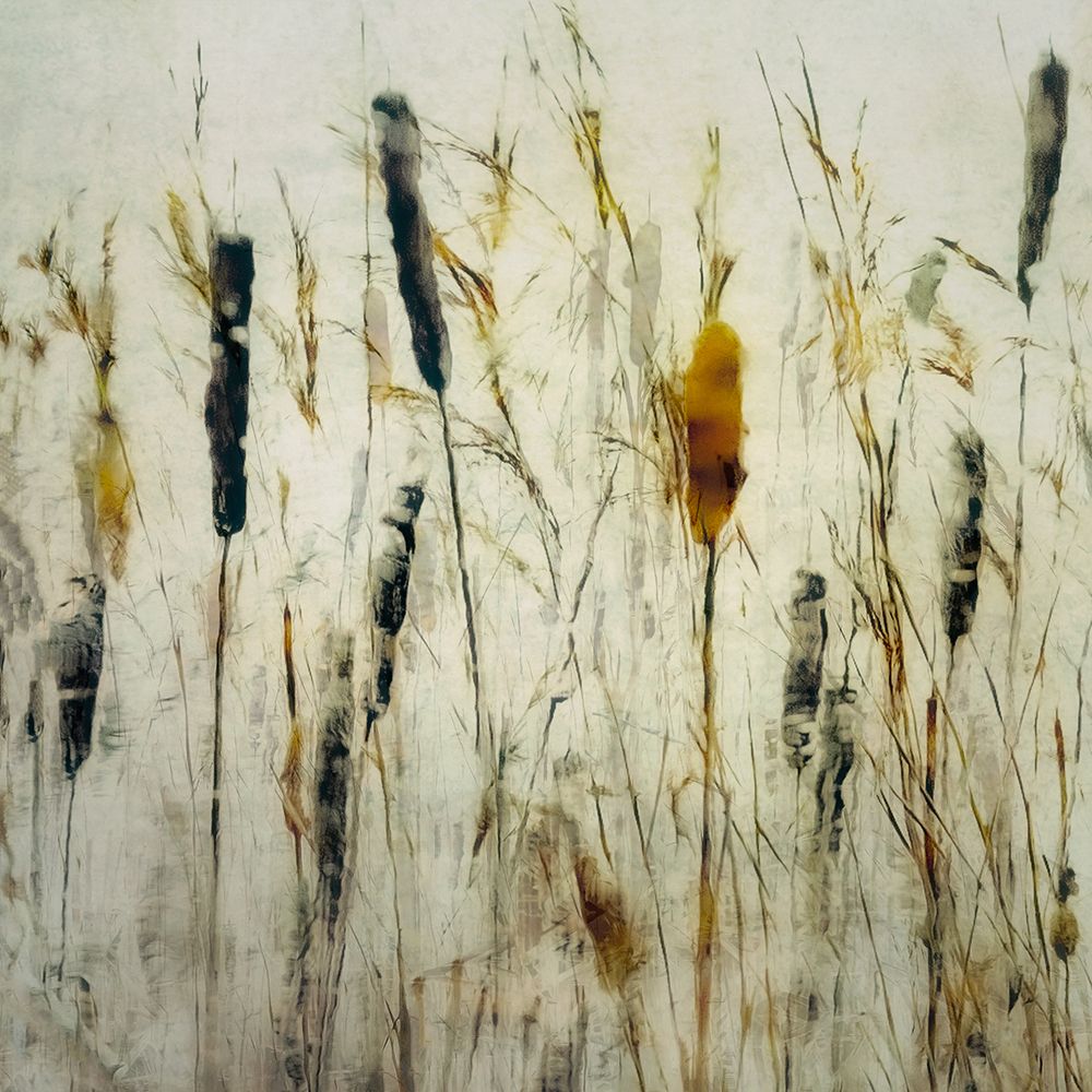 Cattail and reeds art print by Nel Talen for $57.95 CAD