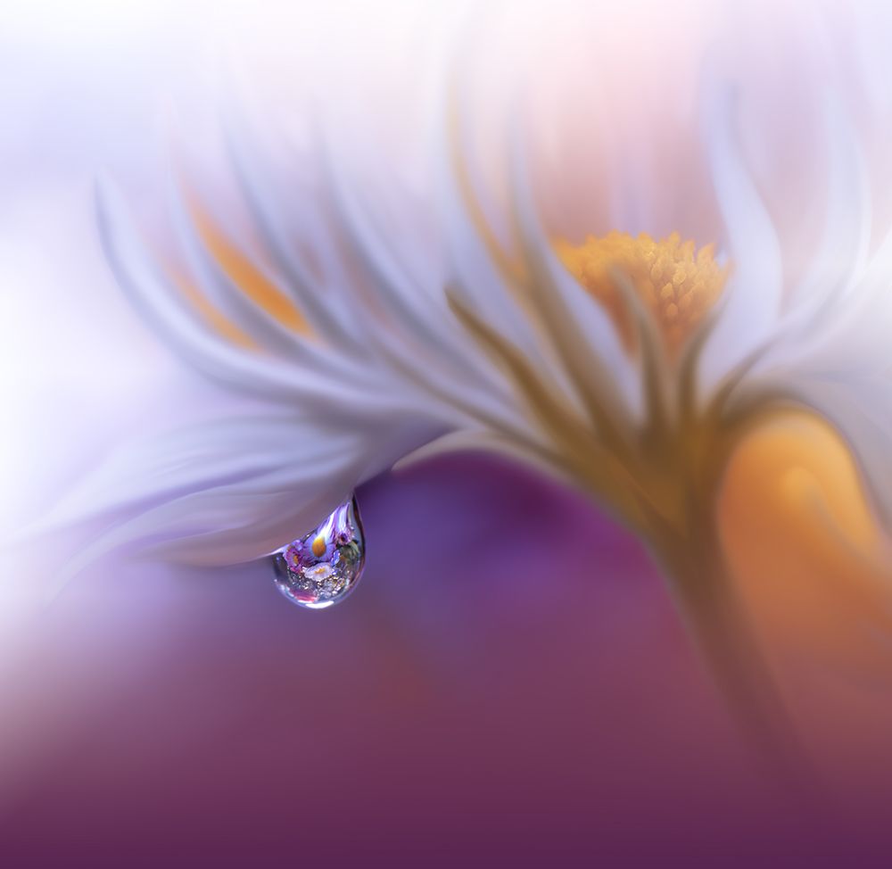 Lost In Time.. art print by Juliana Nan for $57.95 CAD