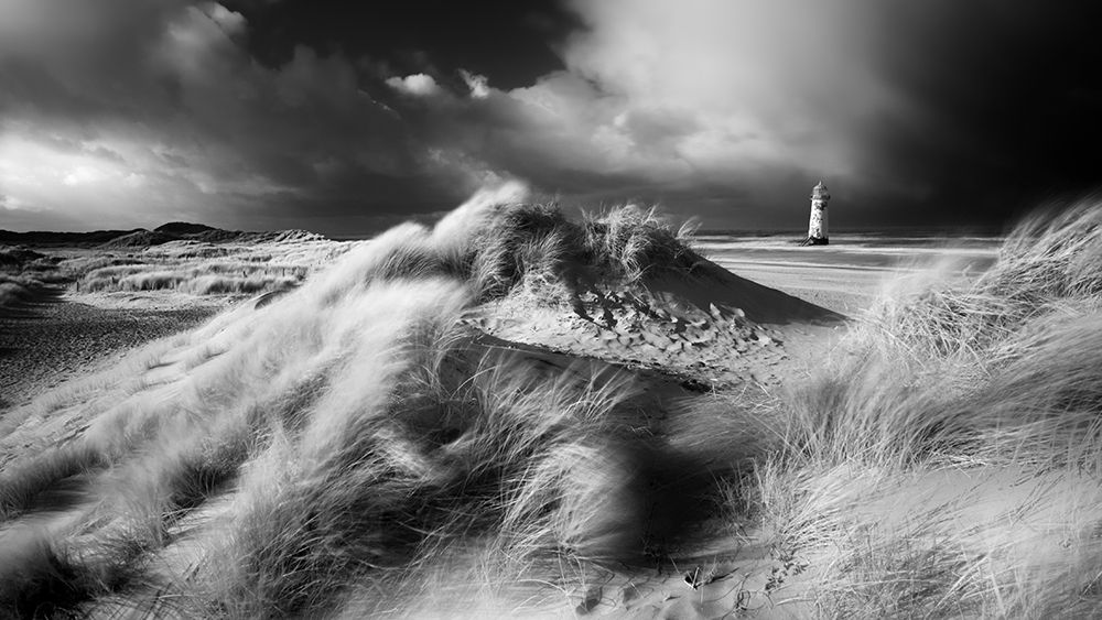 Amongst the dunes art print by Chris Benham for $57.95 CAD