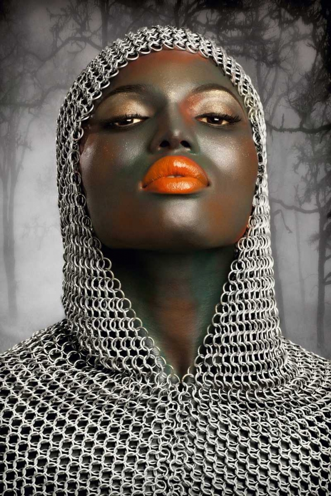 The Warrior art print by Baden Bowen for $57.95 CAD