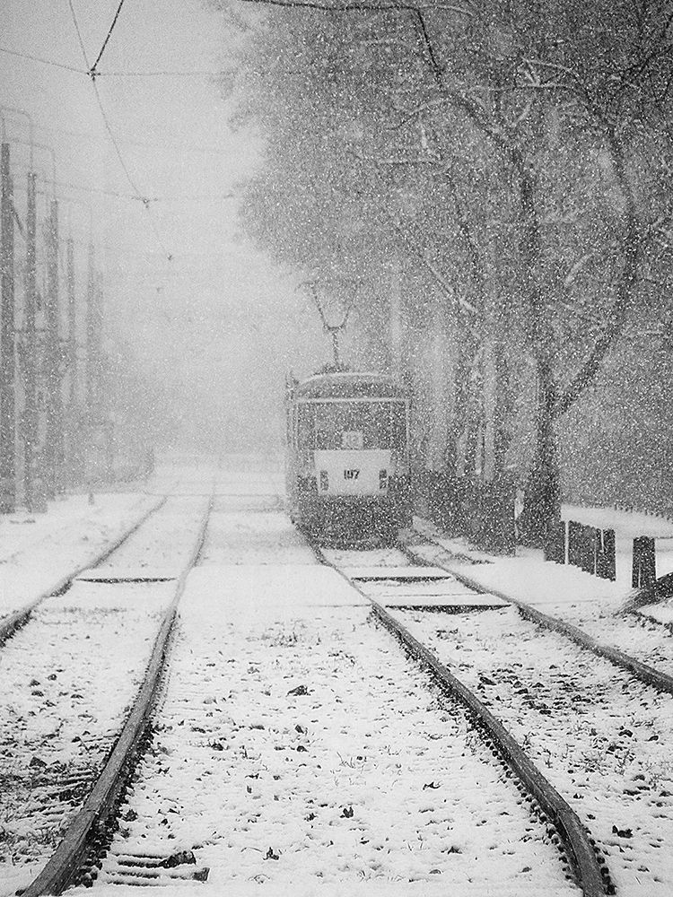winter passengers art print by Nicoleta Gabor for $57.95 CAD