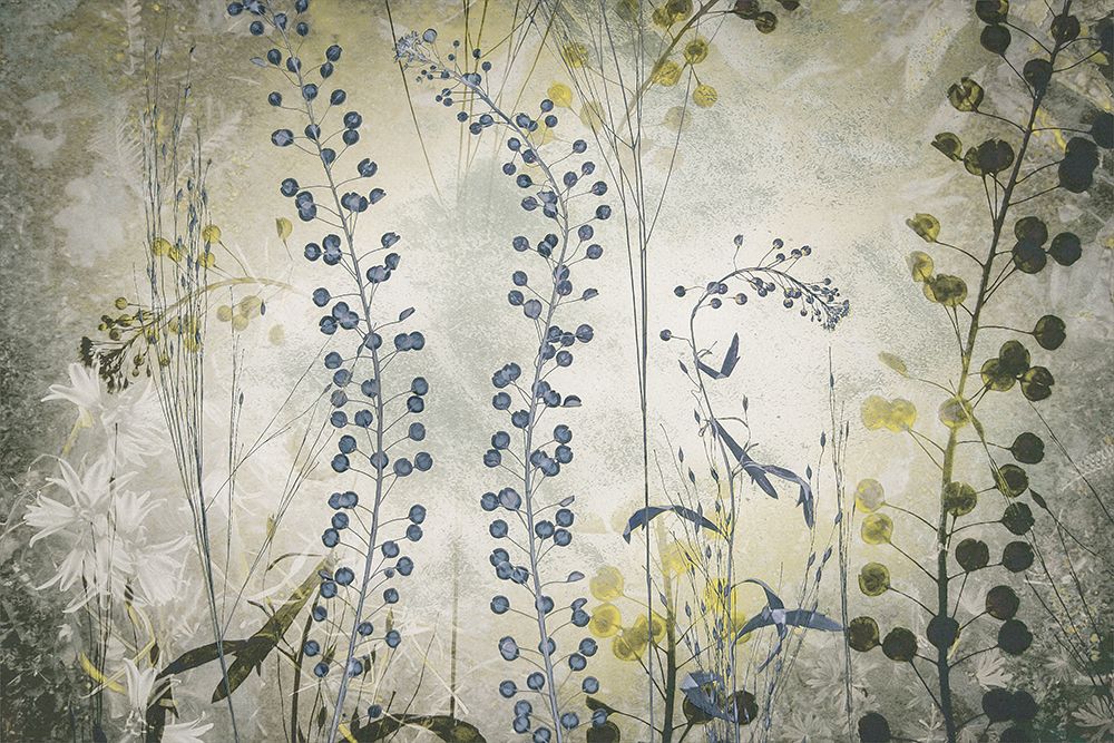Fantasy art print by Nel Talen for $57.95 CAD