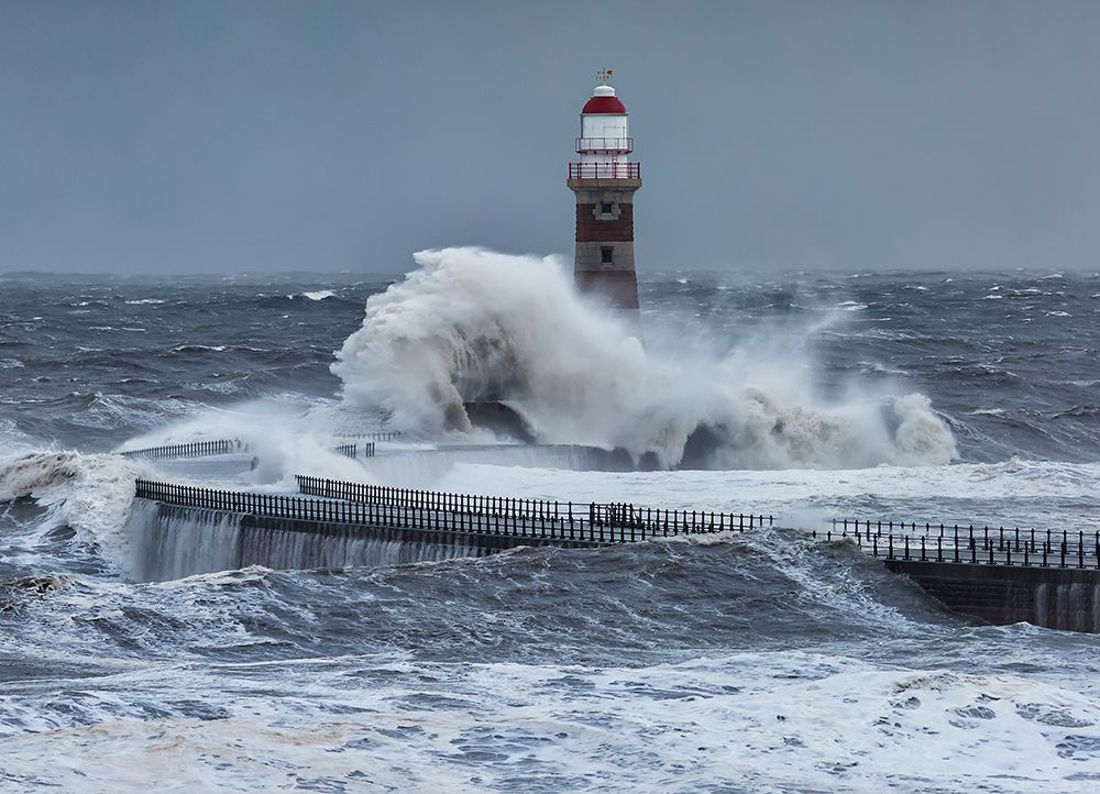 Storm Rising art print by Daniel Springgay for $57.95 CAD