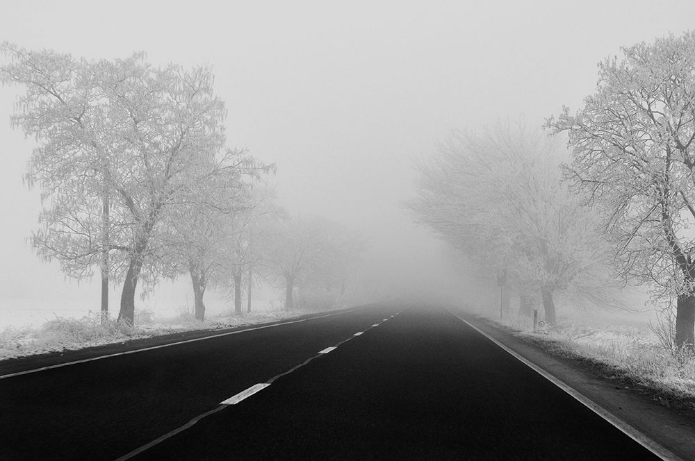 days of mist art print by Nicoleta Gabor for $57.95 CAD