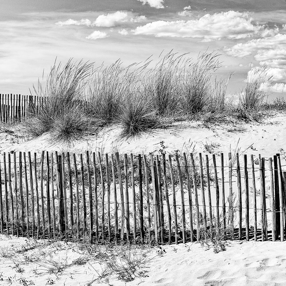 Scent of the sea art print by Massimo Della Latta for $57.95 CAD
