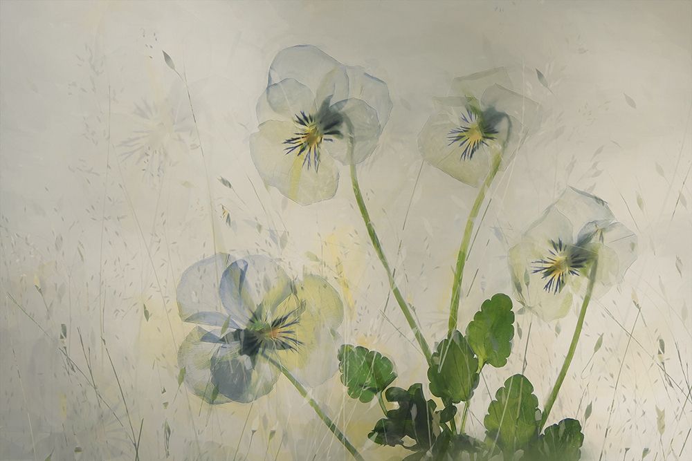 Small violets art print by Nel Talen for $57.95 CAD