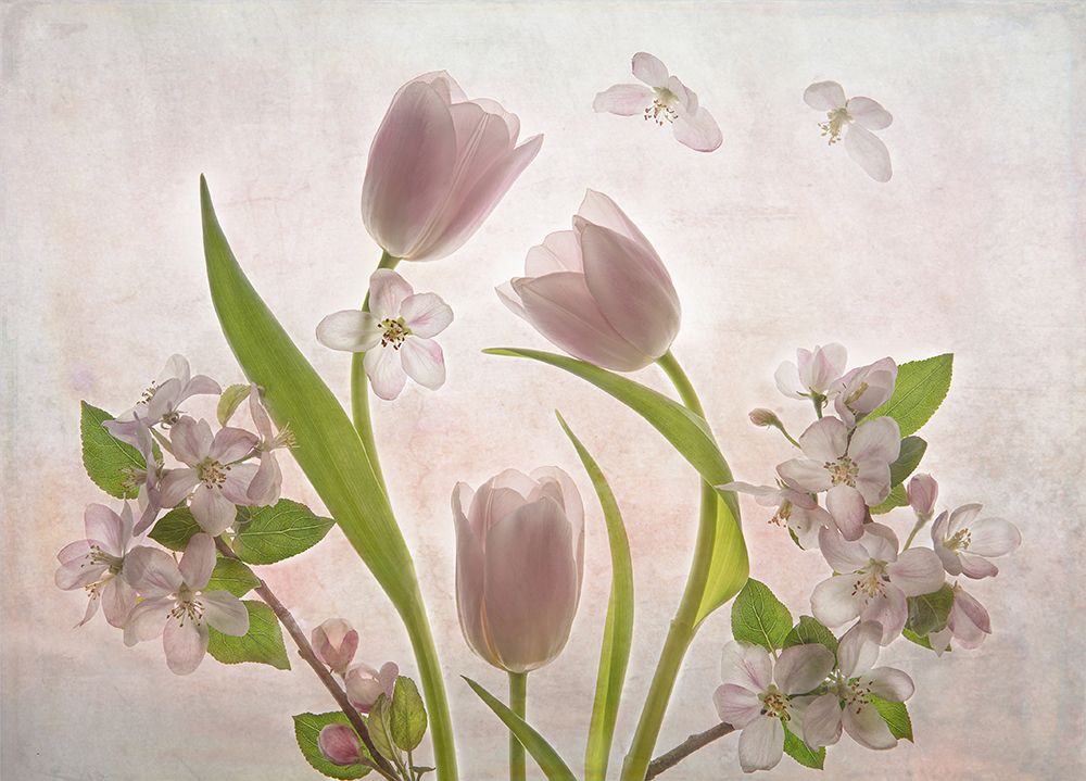 Spring art print by Catherine Wang for $57.95 CAD