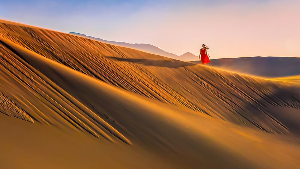 Desert Morning art print by John J. Chen for $57.95 CAD