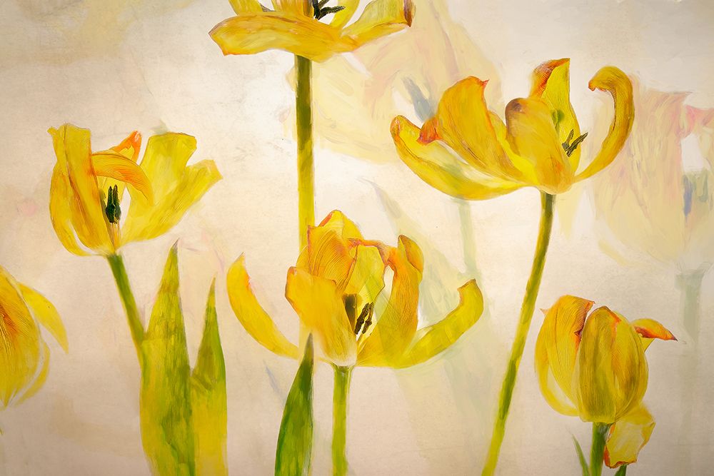 Flowering tulips art print by Nel Talen for $57.95 CAD