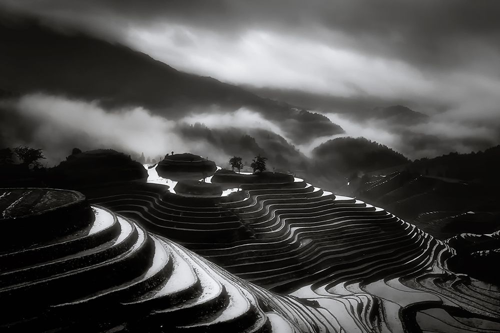 The terraced fields. art print by Fabrizio Massetti for $57.95 CAD