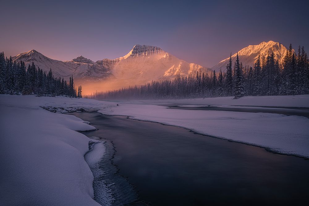 Natures Beam Light art print by James S. Chia for $57.95 CAD