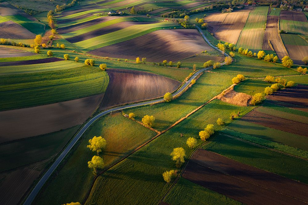 Fields art print by Karol Nienartowicz for $57.95 CAD